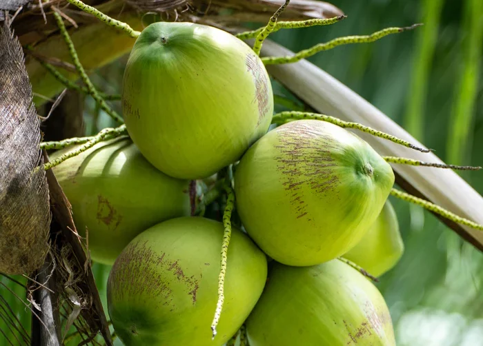 Image hover effect image